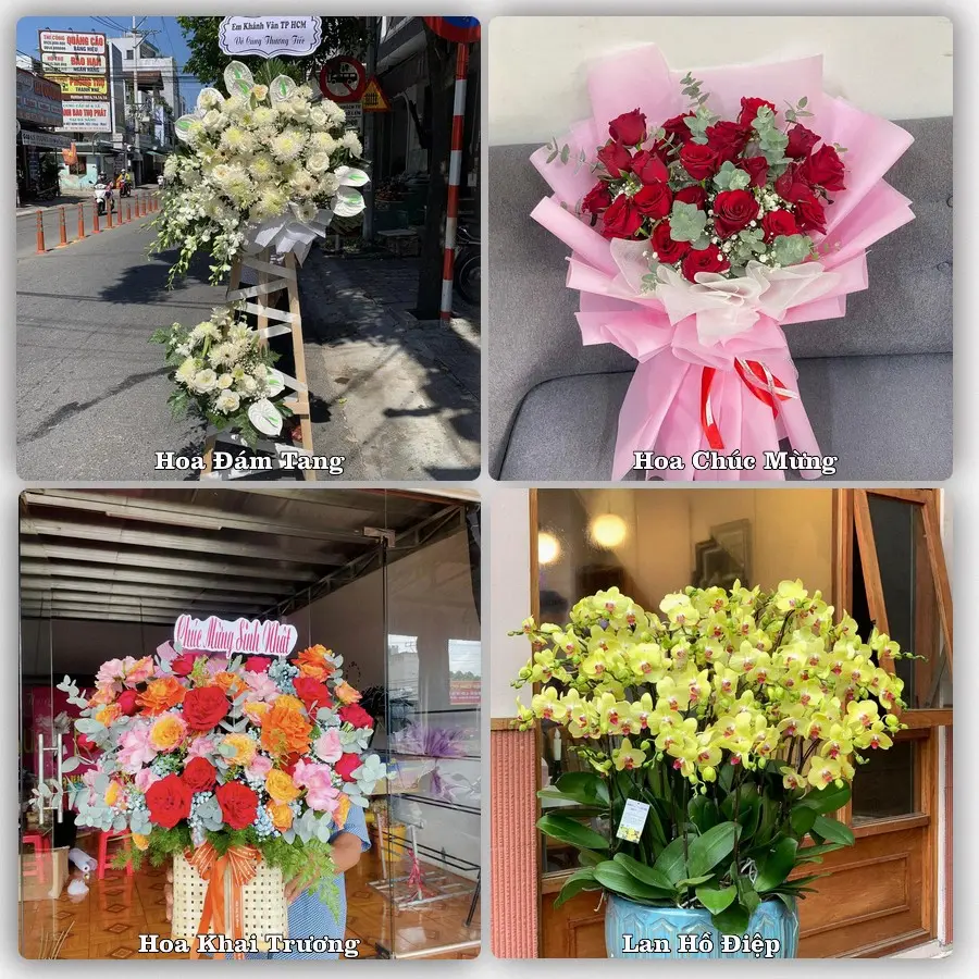 Dịch vụ đặt hoa và giao tận nơi tại Phường Hà Nam - Tỉnh Ninh Bình