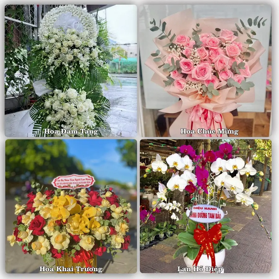 Mẫu hoa phục vụ nhu cầu đặt hoa tại Phường Hà Nam - Tỉnh Ninh Bình