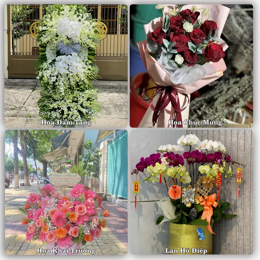 Tư vấn chọn hoa theo người nhận và dịp tặng tại Phường Hà Nam - Tỉnh Ninh Bình