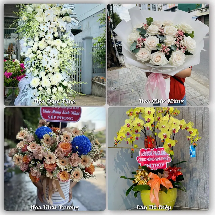 Mẫu hoa phục vụ nhu cầu đặt hoa tại Xã Hưng Nguyên - Tỉnh Nghệ An