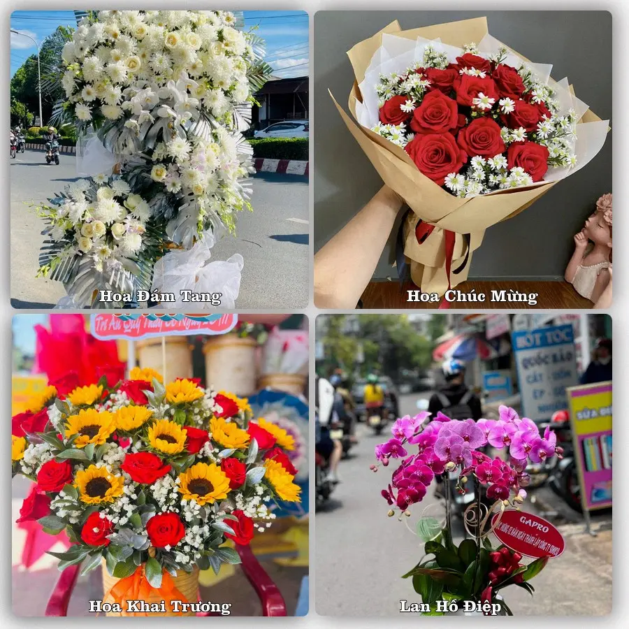 Mẫu hoa phục vụ nhu cầu đặt hoa tại Xã Lộc Hà - Tỉnh Hà Tĩnh