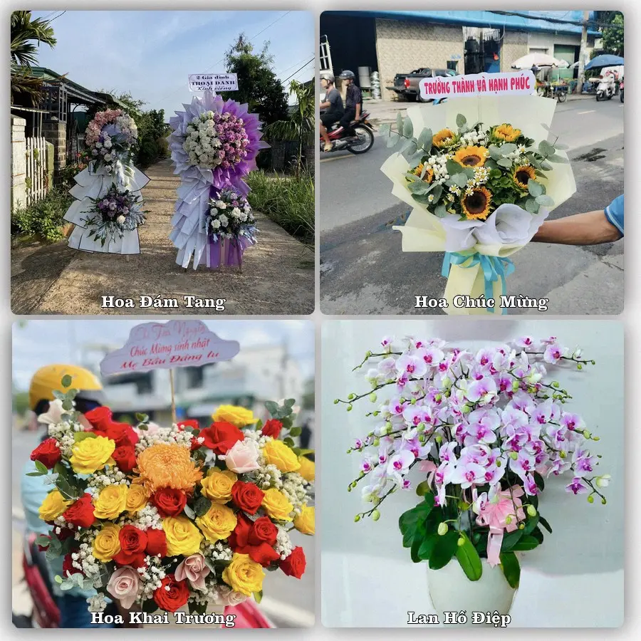Tư vấn chọn hoa theo người nhận và dịp tặng tại Xã Lộc Hà - Tỉnh Hà Tĩnh