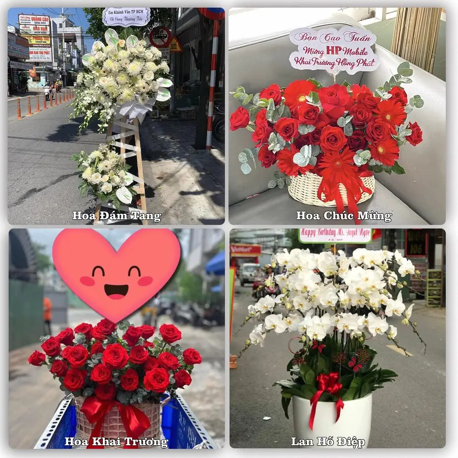Tư vấn chọn hoa theo người nhận và dịp tặng tại Phường Mạo Khê - Tỉnh Quảng Ninh