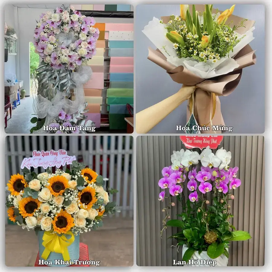 Tư vấn chọn hoa theo người nhận và dịp tặng tại Xã Nam Tiền Hải - Tỉnh Hưng Yên