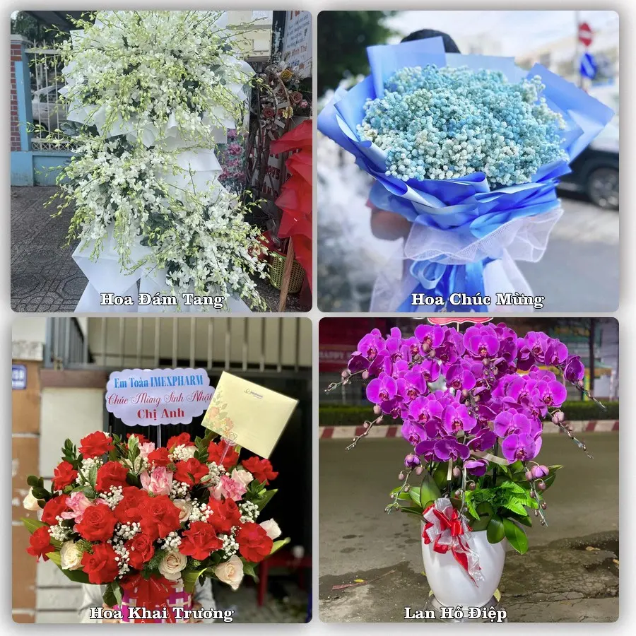 Dịch vụ đặt hoa và giao tận nơi tại Xã Quảng Bị - Thành phố Hà Nội