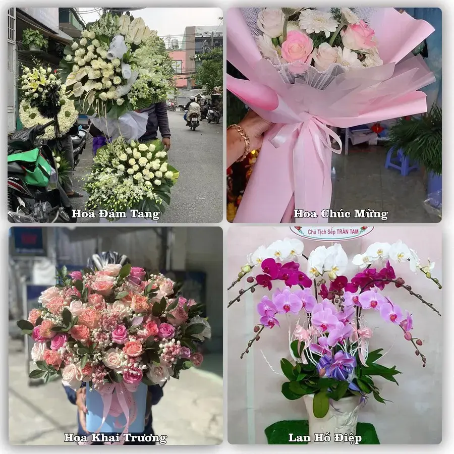 Tư vấn chọn hoa theo người nhận và dịp tặng tại Xã Quảng Bị - Thành phố Hà Nội