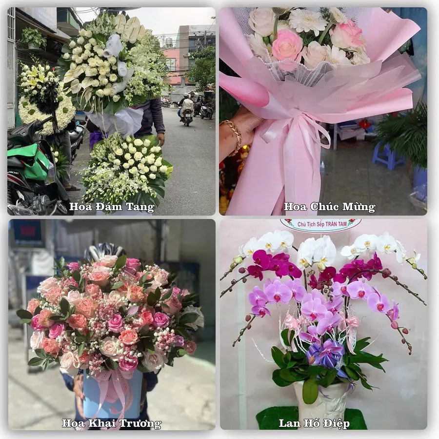 Tư vấn chọn hoa theo người nhận và dịp tặng tại Xã Quảng Bị - Thành phố Hà Nội