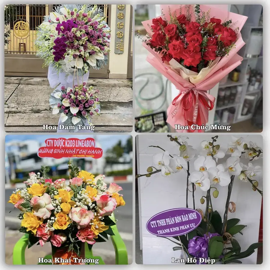Đặt hoa tại Xã Quảng Oai, Hà Nội – giao tận nơi, duyệt mẫu trước