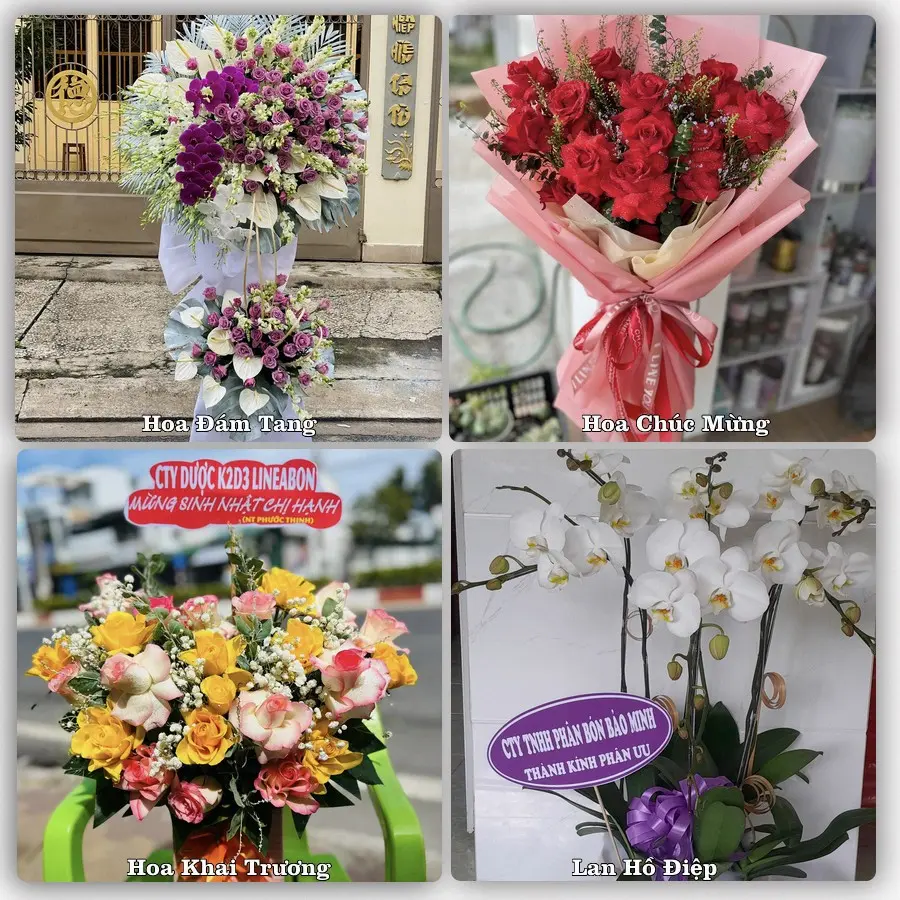 Mẫu hoa phục vụ nhu cầu đặt hoa tại Xã Quảng Oai - Thành phố Hà Nội