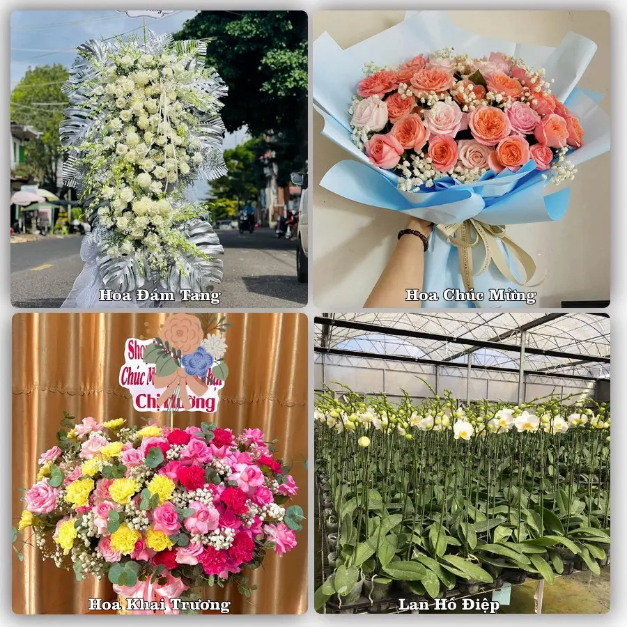 Tư vấn chọn hoa theo người nhận và dịp tặng tại Xã Quảng Oai - Thành phố Hà Nội