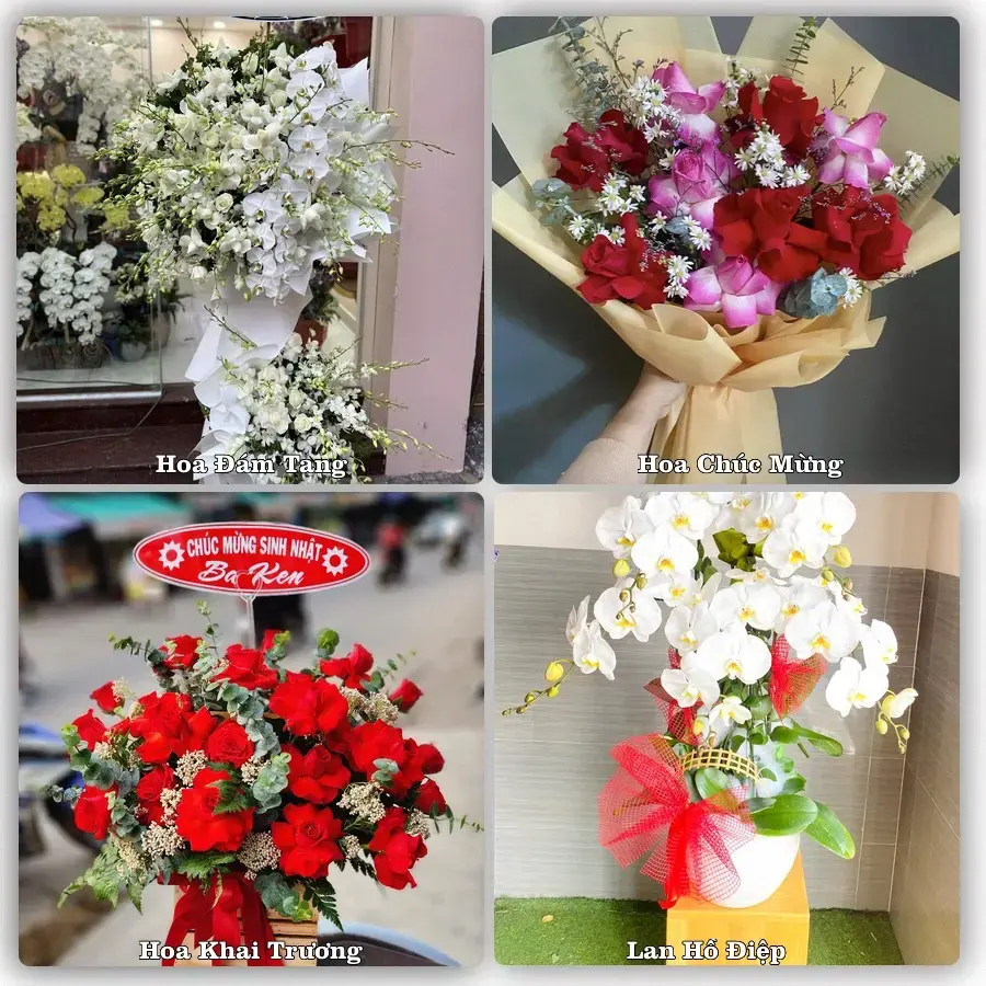 Mẫu hoa phục vụ nhu cầu đặt hoa tại Phường Quy Nhơn Đông - Tỉnh Gia Lai