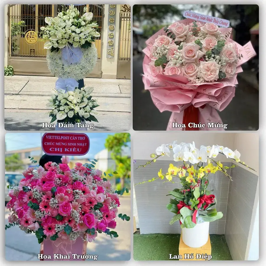 Tư vấn chọn hoa theo người nhận và dịp tặng tại Phường Quy Nhơn Đông - Tỉnh Gia Lai