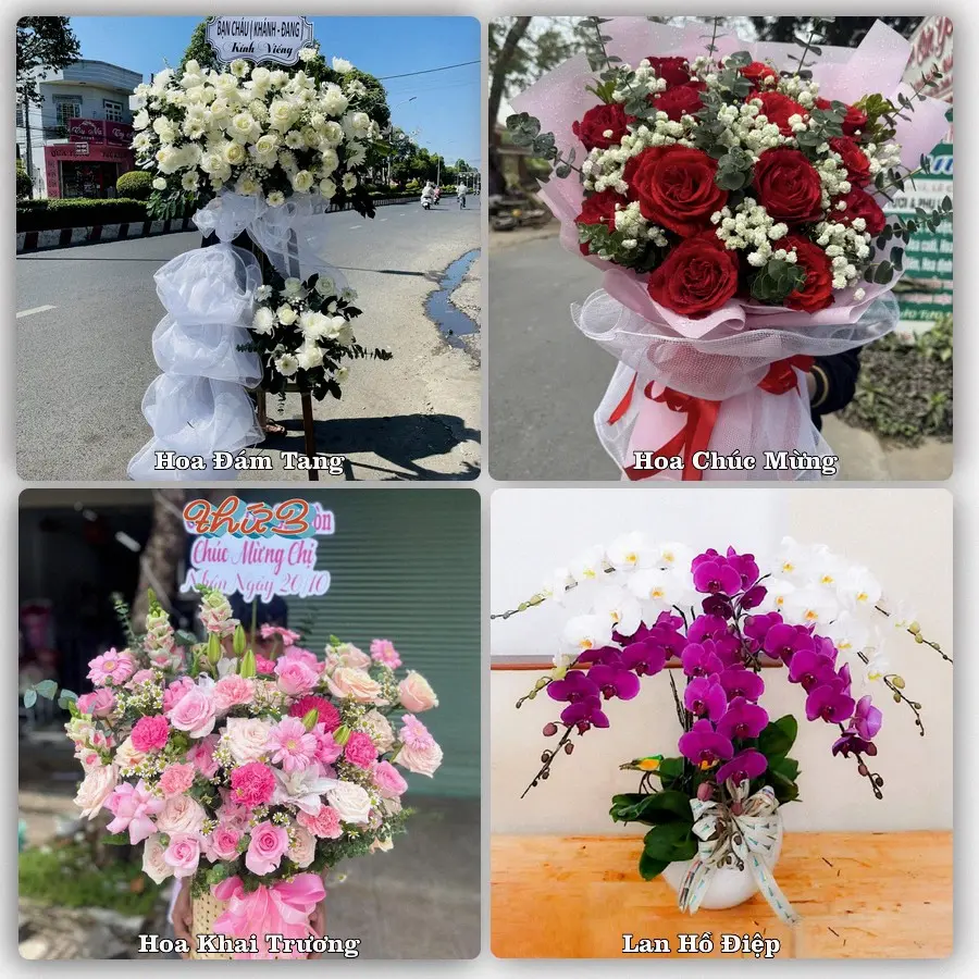 Dịch vụ đặt hoa và giao tận nơi tại Xã Tư Nghĩa - Tỉnh Quảng Ngãi