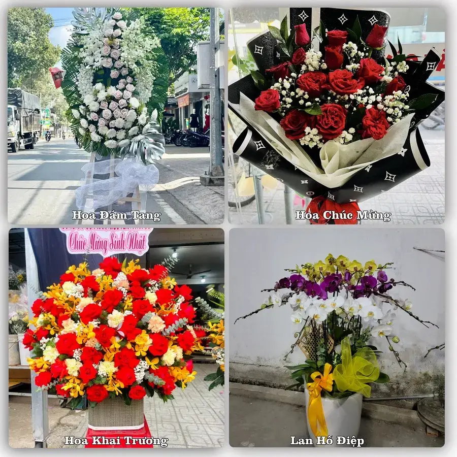 Tư vấn chọn hoa theo người nhận và dịp tặng tại Xã Tư Nghĩa - Tỉnh Quảng Ngãi