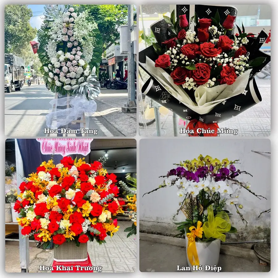 Tư vấn chọn hoa theo người nhận và dịp tặng tại Xã Tư Nghĩa - Tỉnh Quảng Ngãi