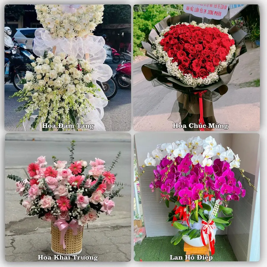 Mẫu hoa phục vụ nhu cầu đặt hoa tại Xã Xuân Hồng - Tỉnh Ninh Bình