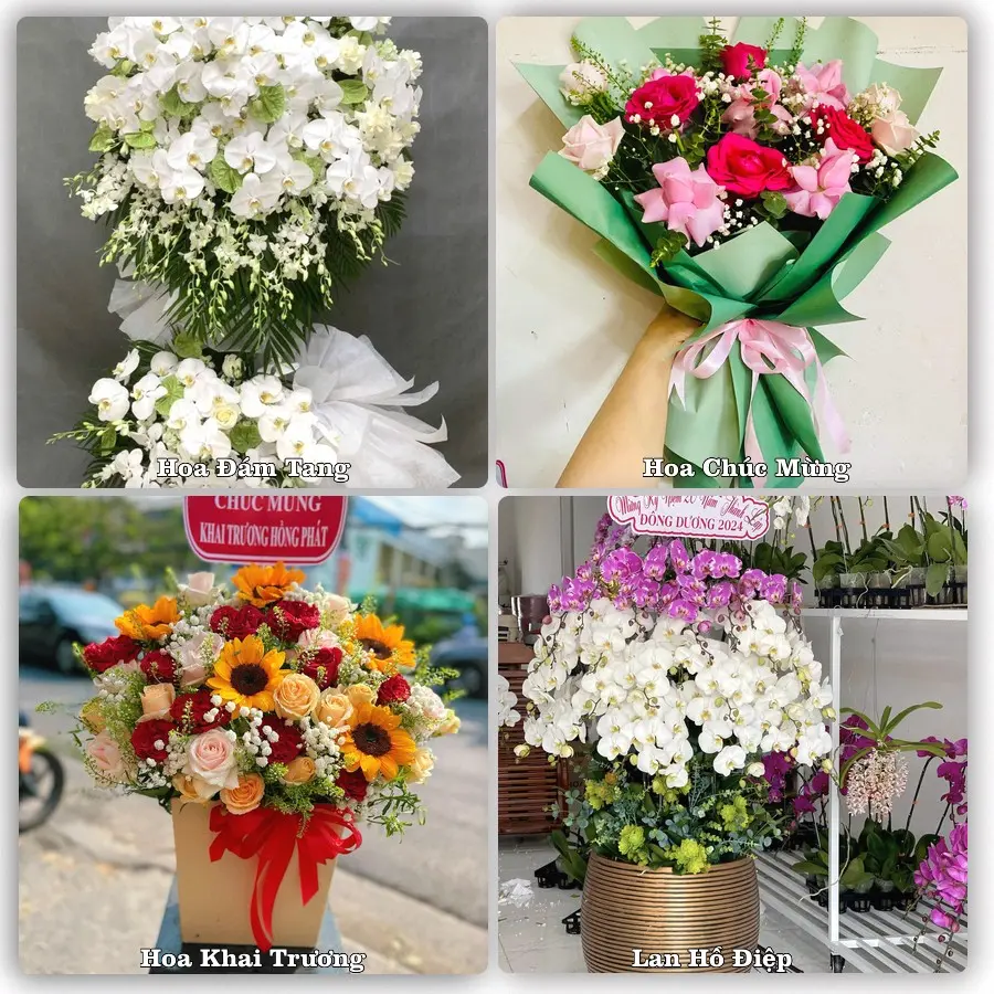 Tư vấn chọn hoa theo người nhận và dịp tặng tại Xã Xuân Hồng - Tỉnh Ninh Bình