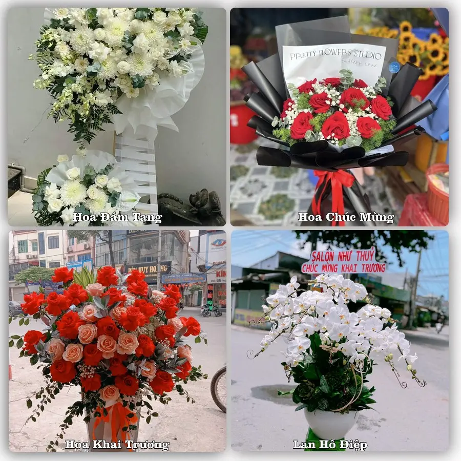 Mẫu hoa phục vụ nhu cầu đặt hoa tại Xã Xuân Mai - Thành phố Hà Nội