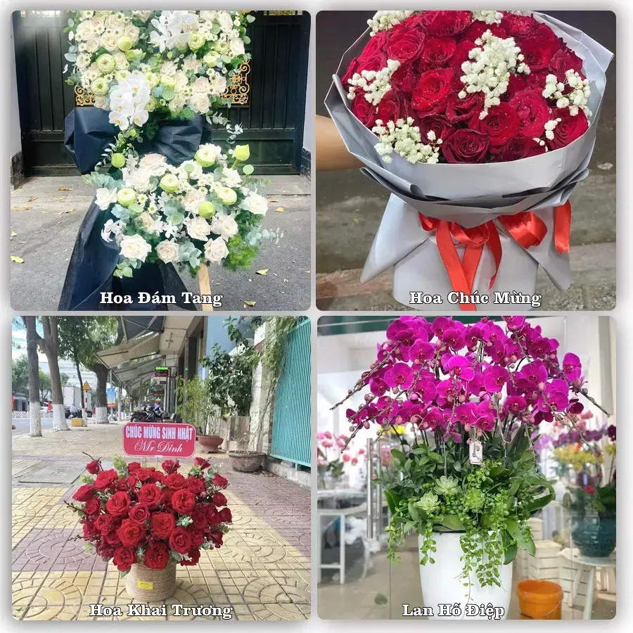 Tư vấn chọn hoa theo người nhận và dịp tặng tại Xã Xuân Mai - Thành phố Hà Nội