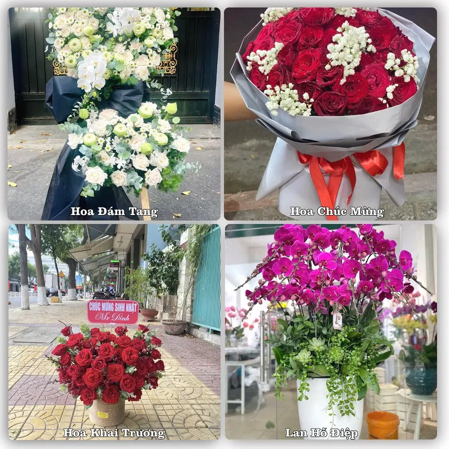 Tư vấn chọn hoa theo người nhận và dịp tặng tại Xã Xuân Mai - Thành phố Hà Nội