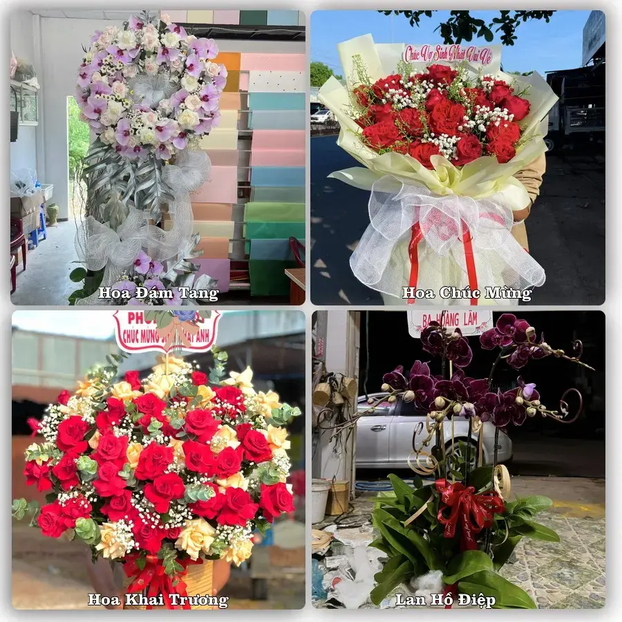 Tư vấn chọn hoa theo người nhận và dịp tặng tại Xã Bàu Hàm - Tỉnh Đồng Nai