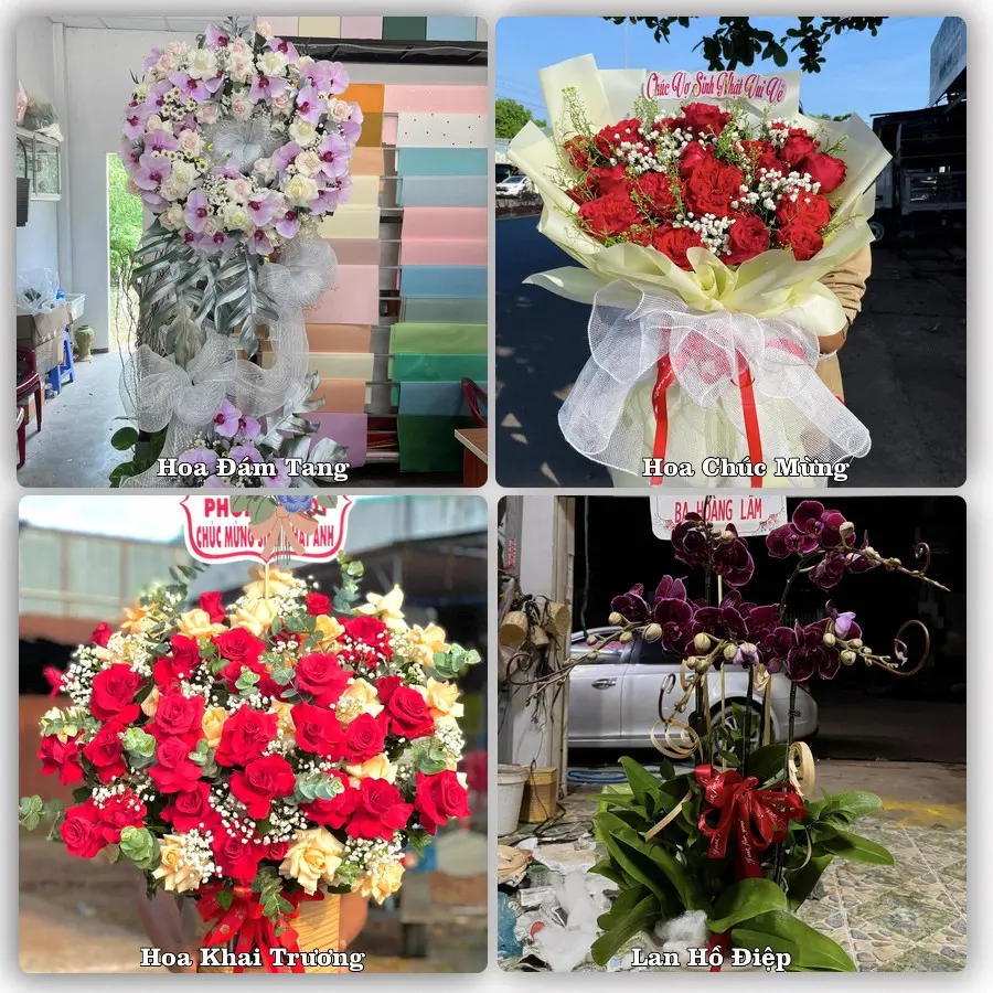 Tư vấn chọn hoa theo người nhận và dịp tặng tại Xã Bàu Hàm - Tỉnh Đồng Nai