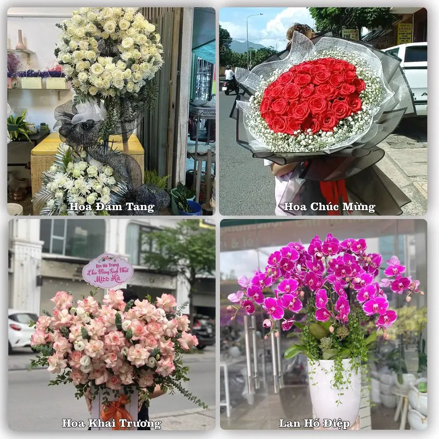 Tư vấn chọn hoa theo người nhận và dịp tặng tại Phường Bình Minh - Tỉnh Tây Ninh