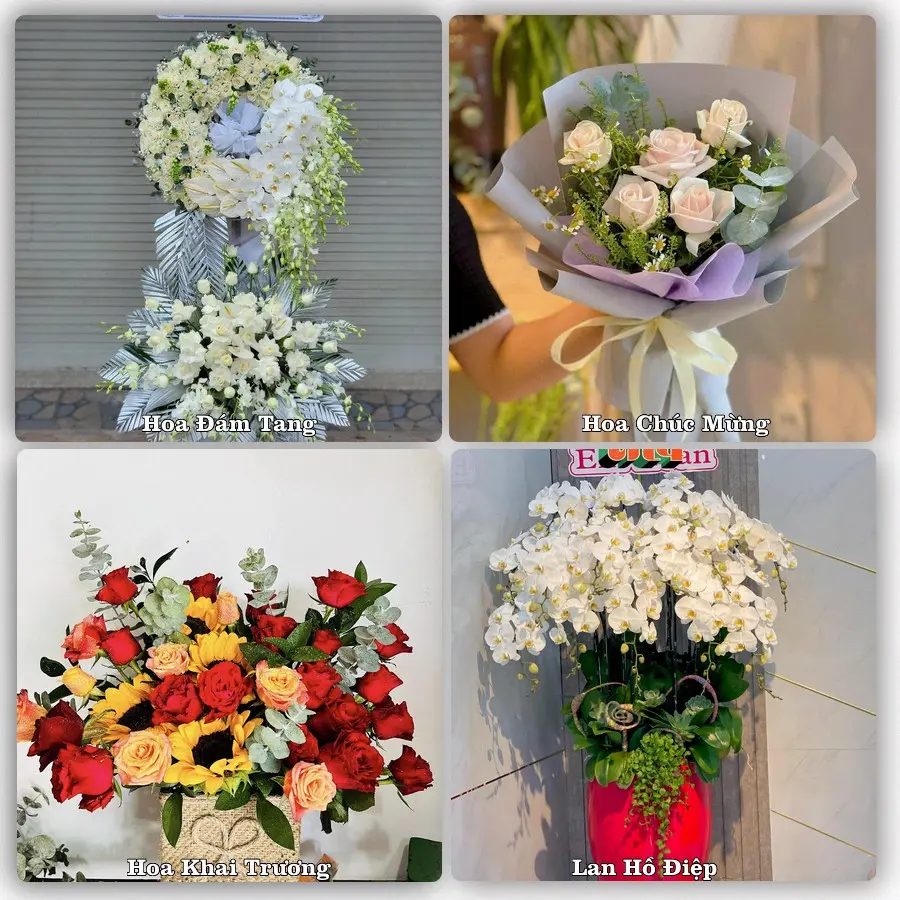 Tư vấn chọn hoa theo người nhận và dịp tặng tại Phường Đông Triều - Tỉnh Quảng Ninh