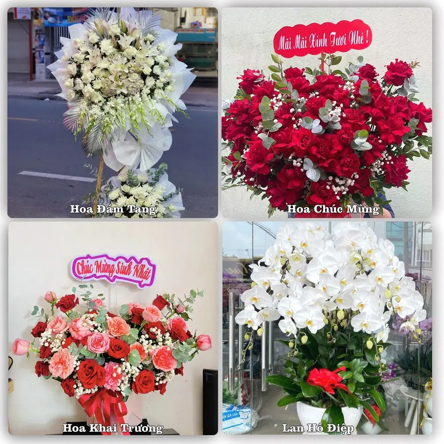 Mẫu hoa phục vụ nhu cầu đặt hoa tại Phường Hải Bình - Tỉnh Thanh Hóa