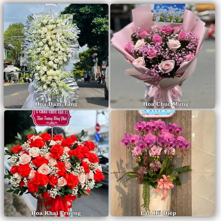 Tư vấn chọn hoa theo người nhận và dịp tặng tại Phường Hải Bình - Tỉnh Thanh Hóa