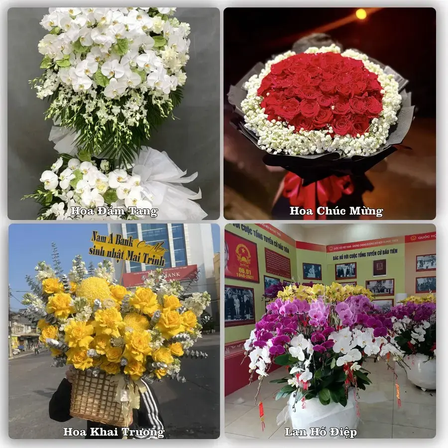 Tiệm hoa Xã Khánh Bình, An Giang – chọn hoa theo người nhận và dịp