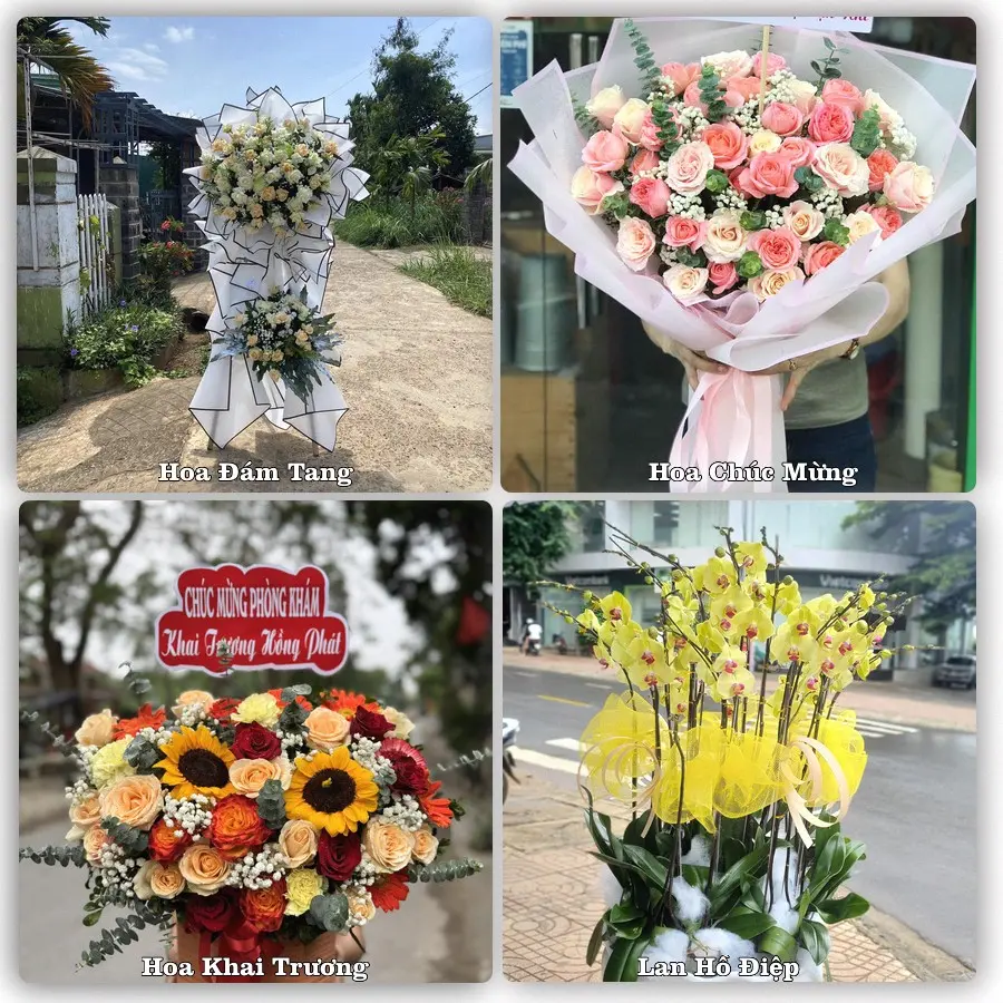 Mẫu hoa phục vụ nhu cầu đặt hoa tại Xã Thăng Bình - Thành phố Đà Nẵng