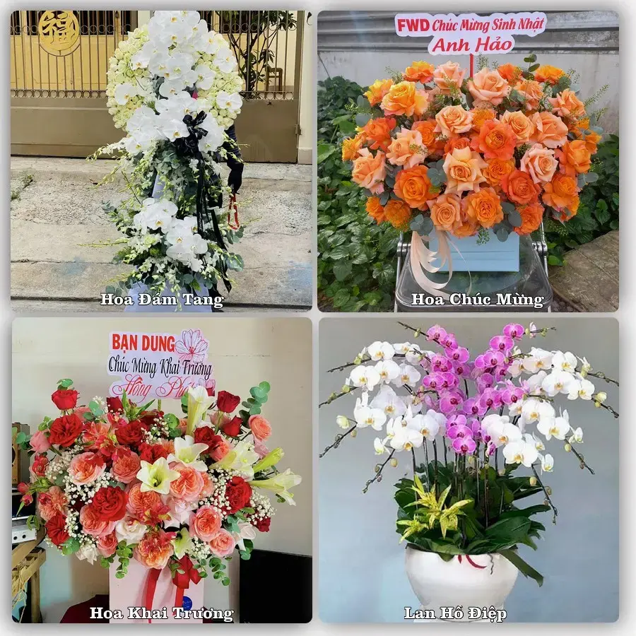 Tư vấn chọn hoa theo người nhận và dịp tặng tại Xã Thăng Bình - Thành phố Đà Nẵng