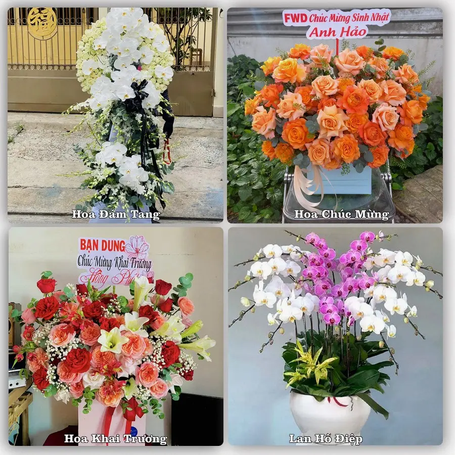 Tư vấn chọn hoa theo người nhận và dịp tặng tại Xã Thăng Bình - Thành phố Đà Nẵng