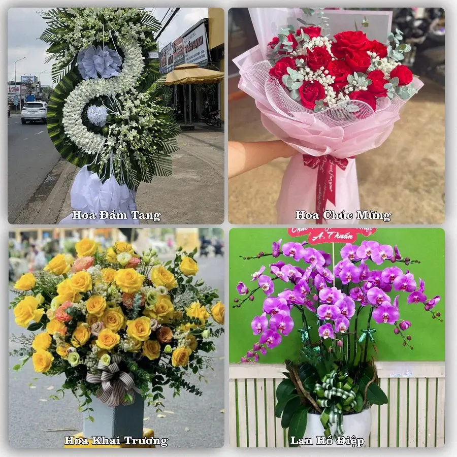 Dịch vụ đặt hoa và giao tận nơi tại Xã Bình Giang - Thành phố Hải Phòng