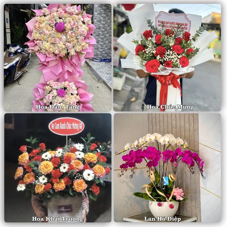 Tư vấn chọn hoa theo người nhận và dịp tặng tại Xã Bình Giang - Thành phố Hải Phòng