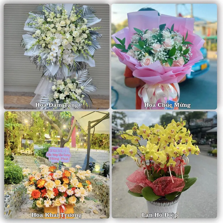 Mẫu hoa phục vụ nhu cầu đặt hoa tại Xã Châu Thành - Tỉnh Đồng Tháp