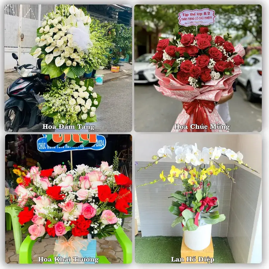 Mẫu hoa phục vụ nhu cầu đặt hoa tại Xã Giồng Trôm - Tỉnh Vĩnh Long