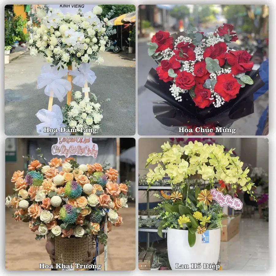 Tư vấn chọn hoa theo người nhận và dịp tặng tại Xã Giồng Trôm - Tỉnh Vĩnh Long