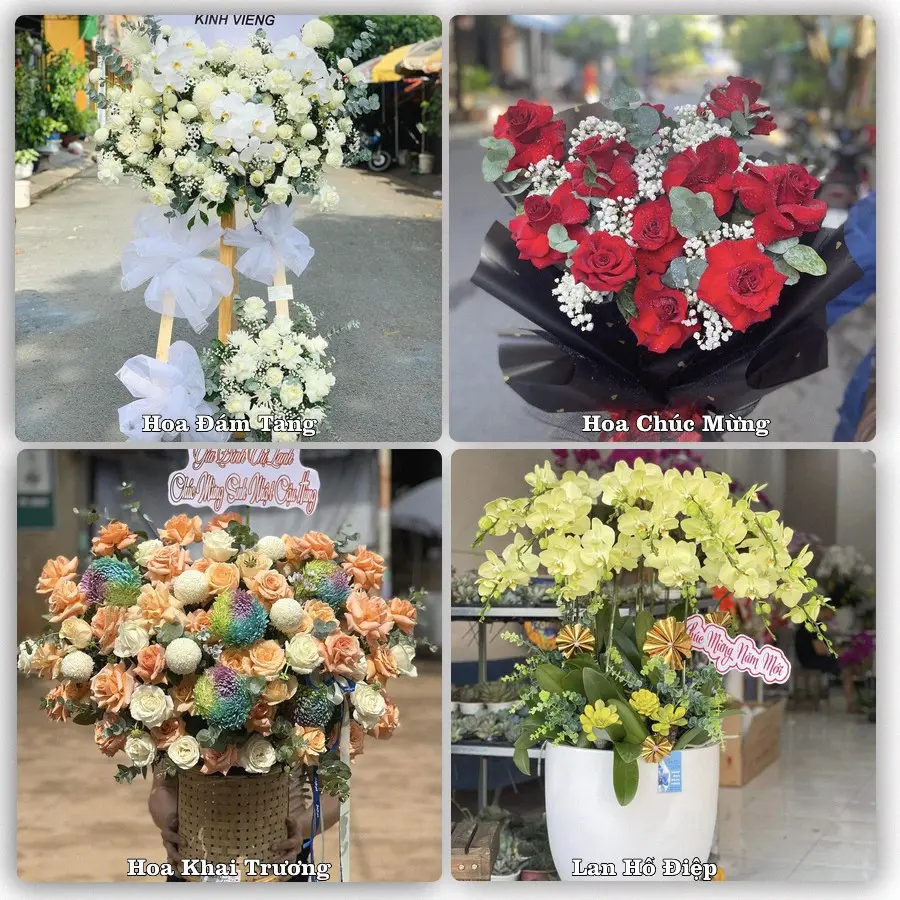 Tư vấn chọn hoa theo người nhận và dịp tặng tại Xã Giồng Trôm - Tỉnh Vĩnh Long