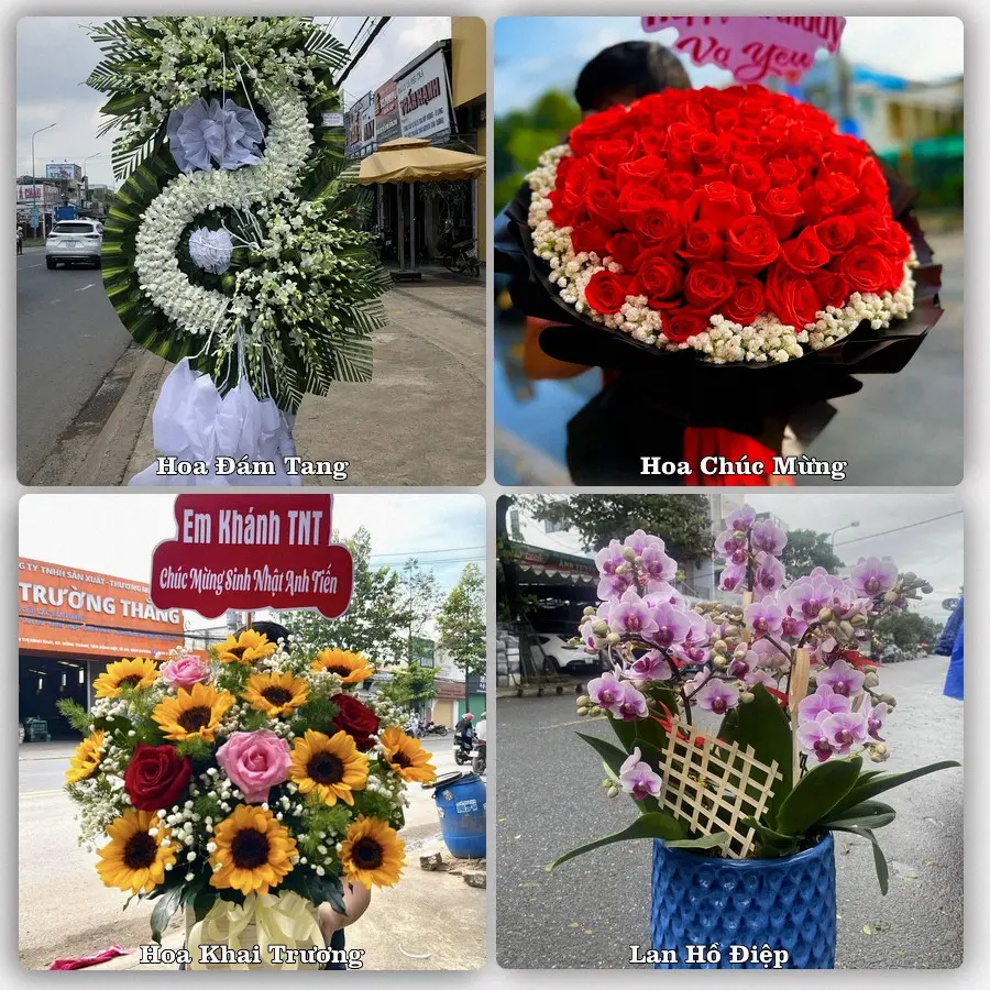 Dịch vụ đặt hoa và giao tận nơi tại Xã Hải Hậu - Tỉnh Ninh Bình