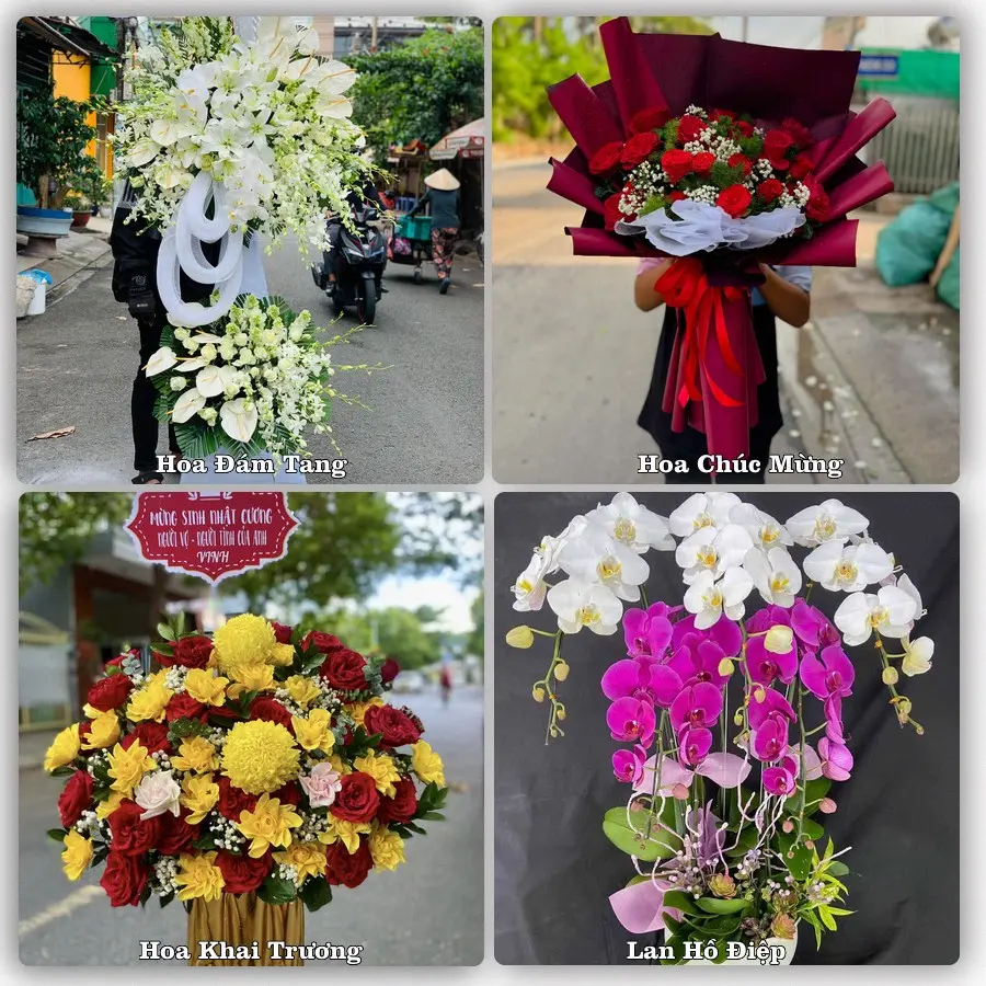 Tư vấn chọn hoa theo người nhận và dịp tặng tại Xã Hải Hậu - Tỉnh Ninh Bình