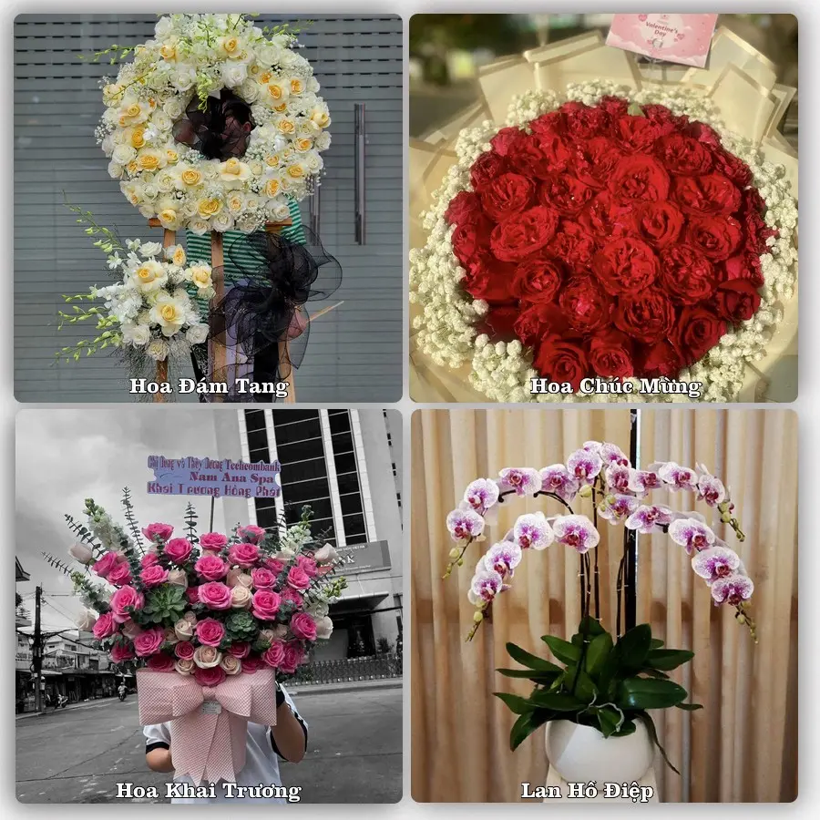 Mẫu hoa phục vụ nhu cầu đặt hoa tại Phường Sa Huỳnh - Tỉnh Quảng Ngãi