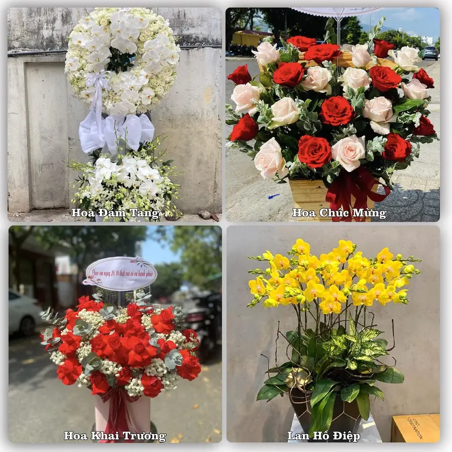 Tư vấn chọn hoa theo người nhận và dịp tặng tại Phường Sa Huỳnh - Tỉnh Quảng Ngãi