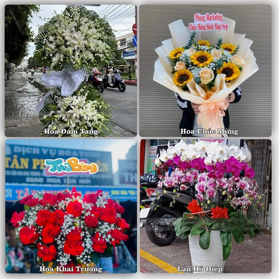 Tư vấn chọn hoa theo người nhận và dịp tặng tại Phường Thành Nam - Tỉnh Ninh Bình