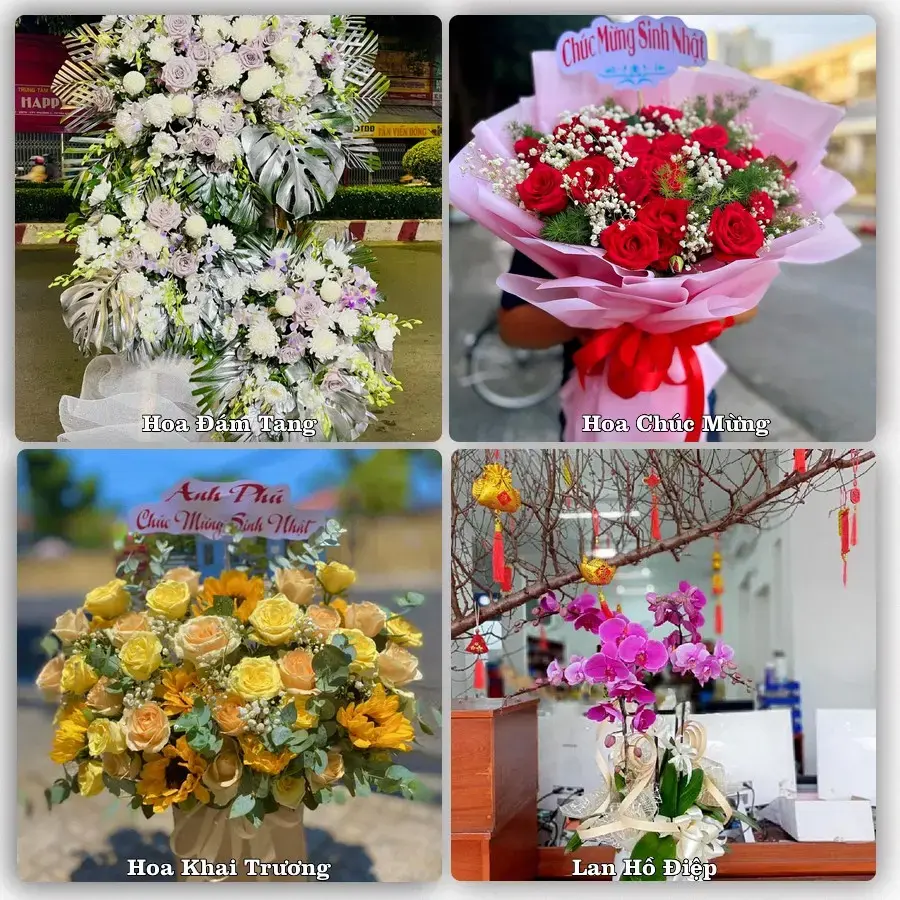 Tư vấn chọn hoa theo người nhận và dịp tặng tại Phường Thục Phán - Tỉnh Cao Bằng