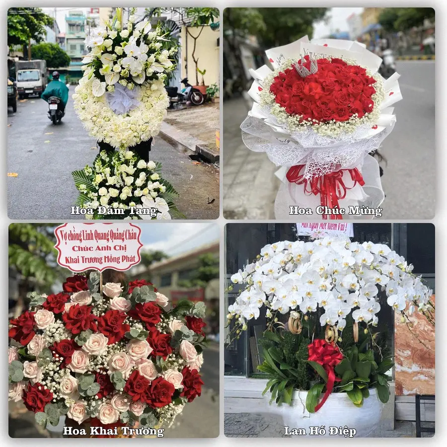 Mẫu hoa phục vụ nhu cầu đặt hoa tại Xã Trà Côn - Tỉnh Vĩnh Long