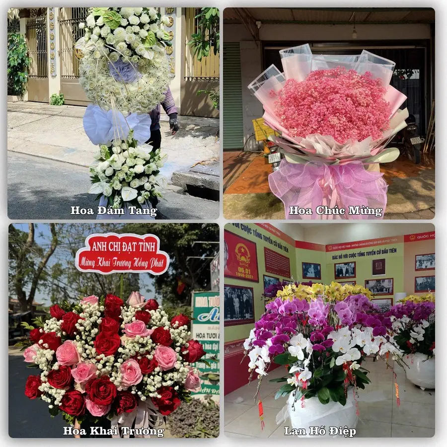 Tư vấn chọn hoa theo người nhận và dịp tặng tại Phường Cái Vồn - Tỉnh Vĩnh Long