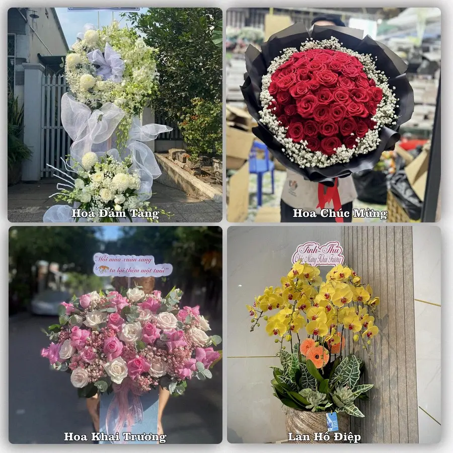 Tư vấn chọn hoa theo người nhận và dịp tặng tại Xã Khúc Thừa Dụ - Thành phố Hải Phòng