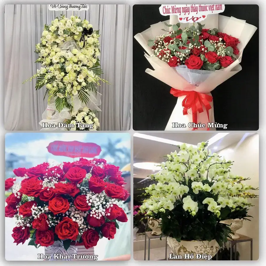 Tư vấn chọn hoa theo người nhận và dịp tặng tại Phường Long Nguyên - Thành phố Hồ Chí Minh